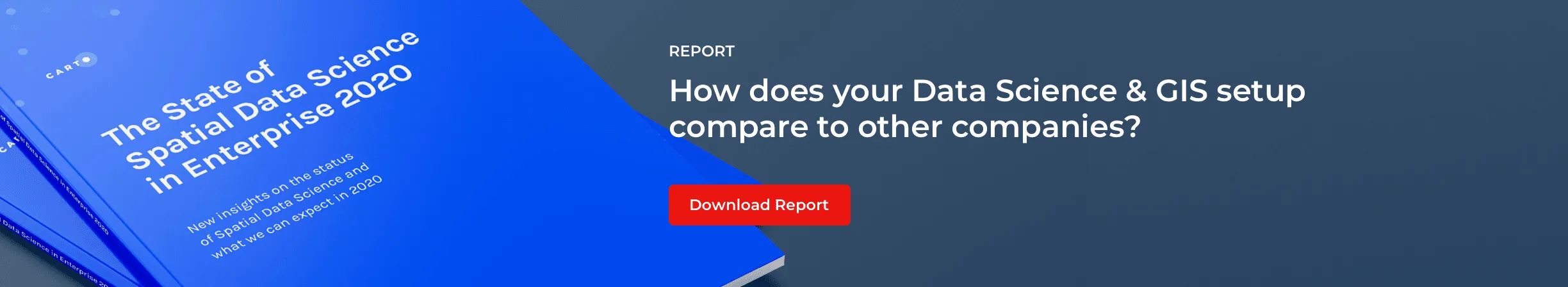 The State of Spatial Data Science in Enterprise 2020