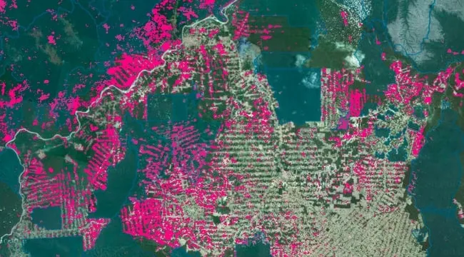 map of deforestation made by carto